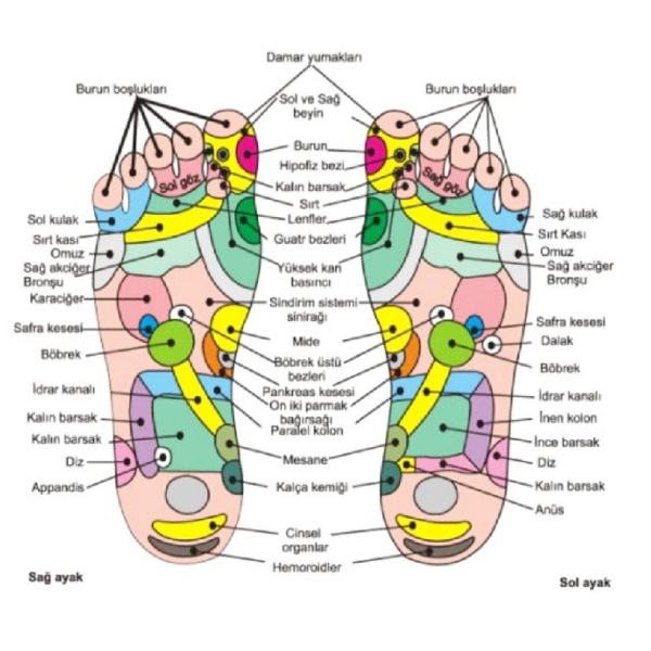 REFLEKSOLOJİ
